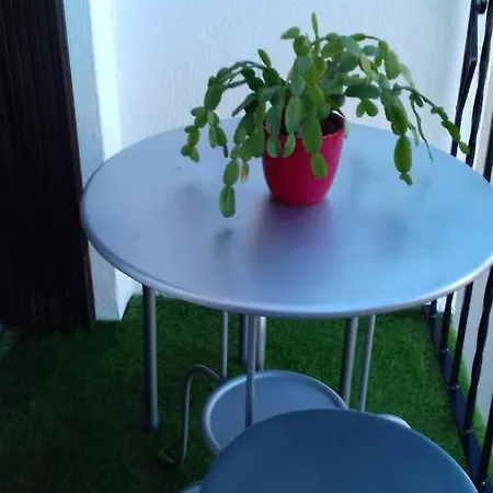 Apartment Guirao *